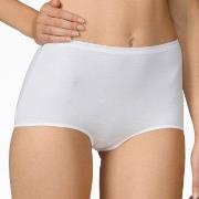 Calida Trosor Comfort Midi-brief 23024 Vit 001 bomull Medium Dam