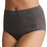 Femilet Trosor Juliana High Waist Brief Grå merinoull 36 Dam