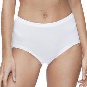 JBS of Denmark Trosor Organic Cotton Maxi Brief Vit ekologisk bomull M...