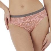 Freya Trosor Offbeat Brief Rosa X-Large Dam