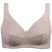 Damella BH Classic Soft Lace Bra Puder A 85 Dam