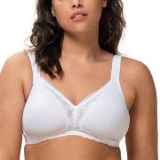 Triumph BH Modern Lace Cotton Soft Bra Vit A 85 Dam