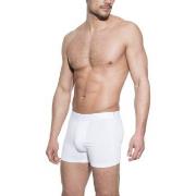 Bread and Boxers Boxer Brief Kalsonger Vit ekologisk bomull Medium Her...