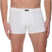 Bruno Banani Kalsonger Check Line 2.0 Shorts Vit polyamid XX-Large Her...