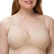 Triumph BH Contouring Sensation W01 Hud D 80 Dam