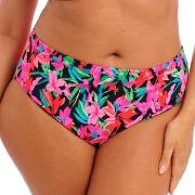 Elomi Savaneta Mid Rise Bikini Brief Svart blommig XX-Large Dam