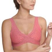 Sloggi BH ZERO Feel Lace 2.0 Bralette Rosa Large Dam