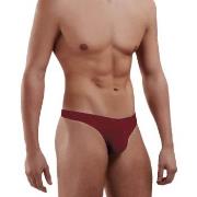 Doreanse Kalsonger Men Basic Thong Vinröd Medium Herr