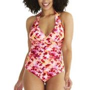 Abecita Haiti Halterneck Swimsuit Svart D/E 42 Dam