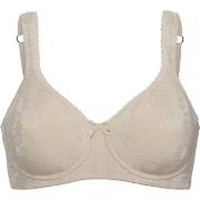 Swegmark BH Adamo Padded Soft Wired Bra Beige C 70 Dam