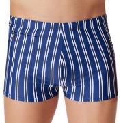 Schiesser Badbyxor Aqua Classic Swim Shorts Ljusblå Randig Medium Herr