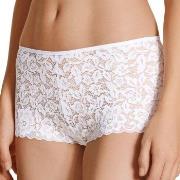 Calida Trosor Natural Comfort Lace Hipster Panty Vit polyamid Small Da...