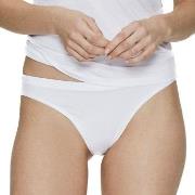 JBS of Denmark Trosor Bamboo Thong Vit Large Dam