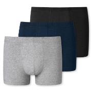 Schiesser Kalsonger 3P 95-5 Essential Shorts Flerfärgad bomull Small H...