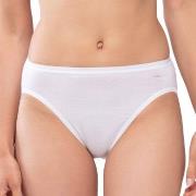 Mey Trosor Lights Jazz Briefs Vit 40 Dam