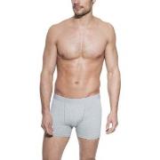 Bread and Boxers Boxer Brief Kalsonger 3P Grå ekologisk bomull X-Large...