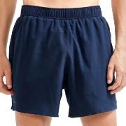 Craft AVD Essence 5 Inch Stretch Shorts Marin polyester X-Large Herr