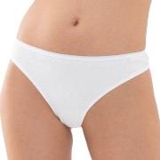 Mey Trosor Organic Cotton Mini Briefs Vit bomull Small Dam