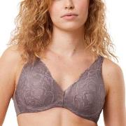 Triumph BH Body Make-Up Illusion Lace WP Grå C 80 Dam