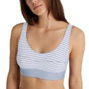 Calida BH Elastic Top Vit/Blå bomull Small Dam