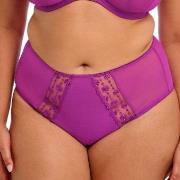 Elomi Trosor Matilda Full Brief Fuchsia/Lila Large Dam