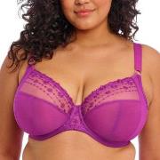 Elomi BH Matilda Underwired Plunge Bra Fuchsia/Lila I 95 Dam