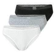Schiesser Trosor 3P Modern Lace Rio Briefs Flerfärgad bomull 48 Dam