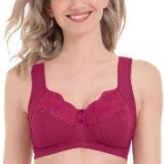 Anita BH Orely Support Bra Cherry nylon C 100 Dam