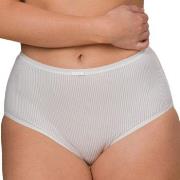 Trofe Sanna High Waist Maxi Brief Trosor Benvit Large Dam