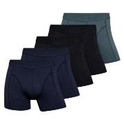Claudio Kalsonger 5P Trunks Flerfärgad-2 Small Herr