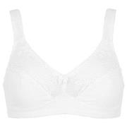 Damella BH Felice Soft Bra Vit bomull B 80 Dam