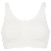 Damella BH Zoe Soft Bra Vit polyamid XL/XXL Dam