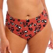 Elomi Kotiya Mid Rise Bikini Brief Orange/Svart 46 Dam