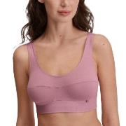 Calida BH Elastic Top Ljuslila bomull Small Dam