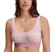 Calida BH Elastic Top Rosa randig bomull Large Dam