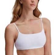 Calida BH Sleek Skin Bustier Vit Medium Dam