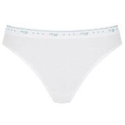 Sloggi Trosor 3P 24 7 100 Tai Briefs Vit bomull 40 Dam