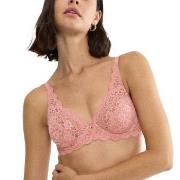 Triumph BH Amourette W Rosa F 75 Dam