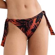 Triumph Summer Palm Tai Bikini Bottom Flerfärgad 42 Dam