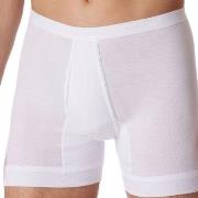 Schiesser Kalsonger Fine Rib Underpants 3XL-6XL Vit bomull 6XL Herr