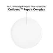 Coco & Eve Bond Therapy Duo Bundle