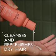 Aveda Moisture Marvels: Nutriplenish Hydrating Essentials