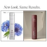 L'ANZA Healing ColorCare Purple Shampoo 300ml