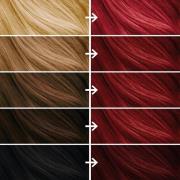 BLEACH LONDON Cherry Red Permanents Kit