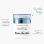 Dermalogica Pro Collagen Banking Water Cream 50ml