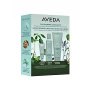 Aveda Scalp Solutions Winter Renewal Set