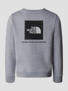 THE NORTH FACE Teen Redbox Regular Crew Tröja tnf light grey heather