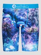 Ethika Shroomly Boxershorts uni