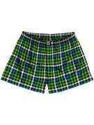 Horsefeathers Sonny Boxershorts kiwi