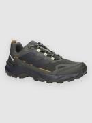 adidas Terrex Skychaser AX5 Sneakers shaoli/carbon/savann